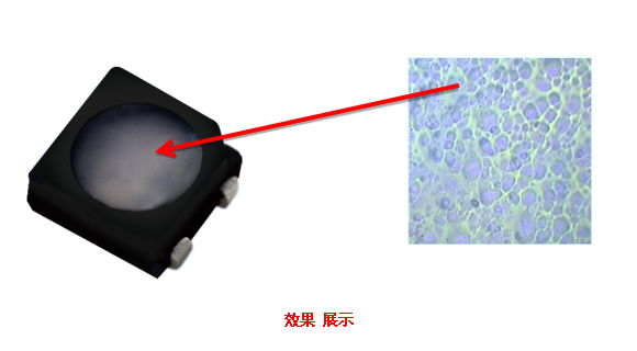 未標題-4.jpg