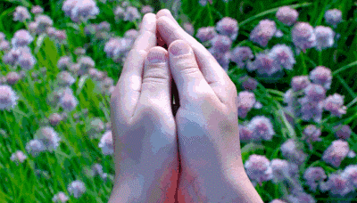 把手慢慢打開，里面竟藏著一只微型大象.gif