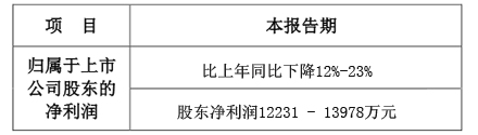 艾比森成績單.jpg