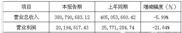 六大LED屏企上市公司2015年年報正式公布之雷曼.jpg