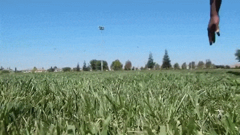 未來的顯示屏：摔不爛，可彎曲，還防水！ 3.gif