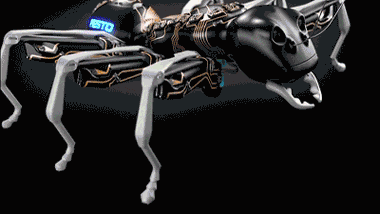 4.gif