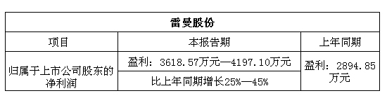 雷曼股份.jpg