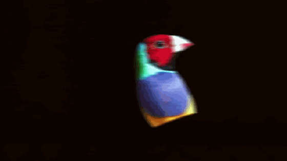 演唱會神奇，輕輕揮舞LED棒就能顯示你想要的內容 2.gif