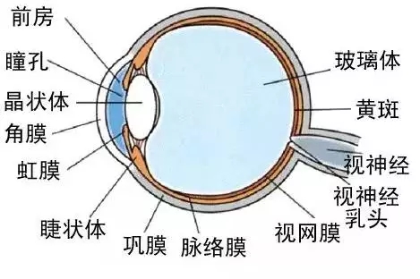 LED景觀照明工程設計中的光環境與光文化剖析 1.webp.jpg