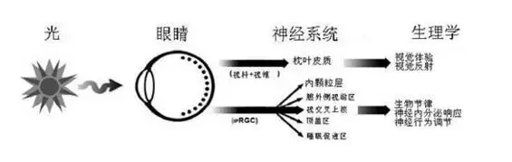 LED景觀照明工程設計中的光環境與光文化剖析 12.webp.jpg
