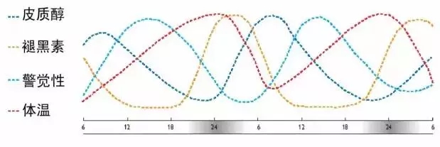 LED景觀照明工程設計中的光環境與光文化剖析 13.webp.jpg