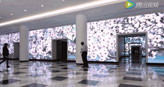 0.gif