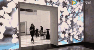 2.gif