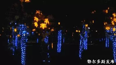 2017930112359188.jpg