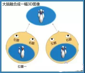 前所未有的“真實”的視覺體驗 走近3D顯示技術 3.jpg