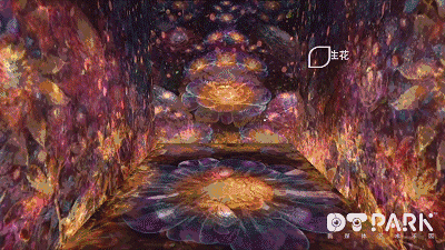 9.gif