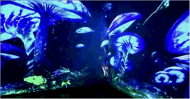 10.gif