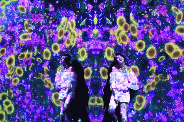 微信圖片_20200519092636.gif