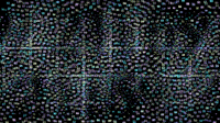 微信圖片_20200724170427.gif