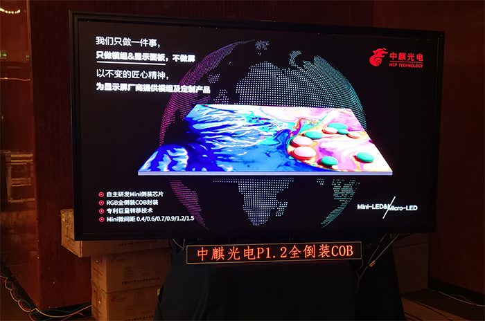中麒.jpg